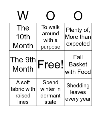 Fifth Grade Definitions Bingo Card