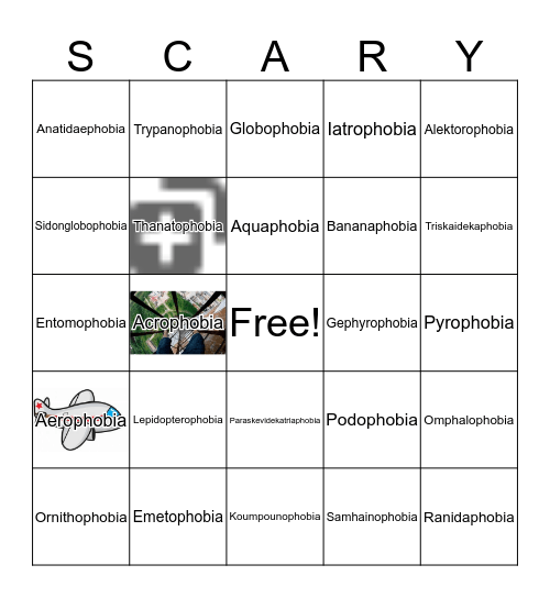 Phobia Bingo Card