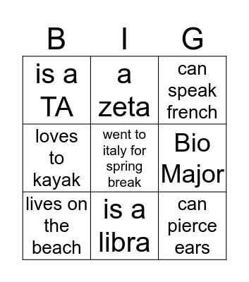 BIG BINGO  Bingo Card