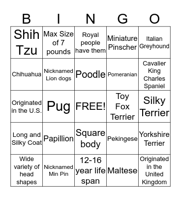 Toy Group Bingo Card