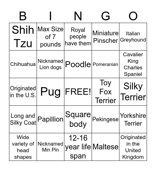 Toy Group Bingo Card