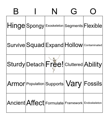 Skeleton Vocabulary Bingo Card