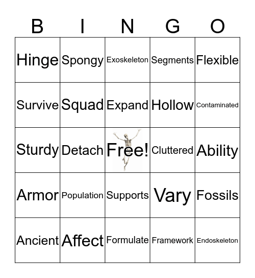 Skeleton Vocabulary Bingo Card