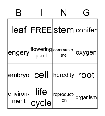 Science Vocabulary Bingo Card