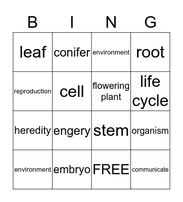 Science Vocabulary Bingo Card