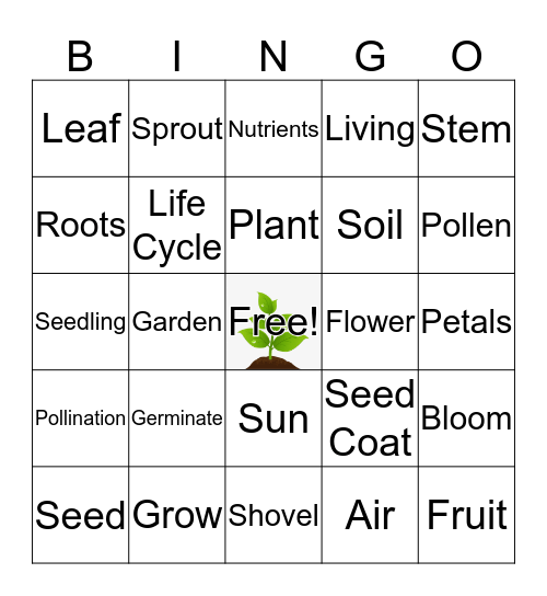 Plant Vocabulary Bingo Card