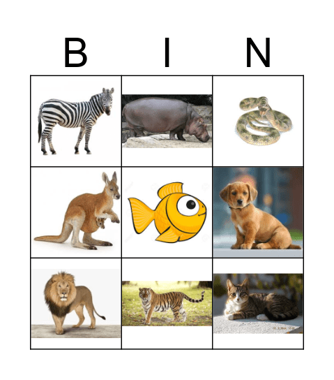 animals Bingo Card