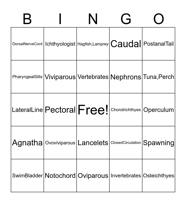 Fish Review Bingo Card