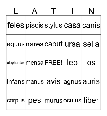 Latin Nouns Bingo Card