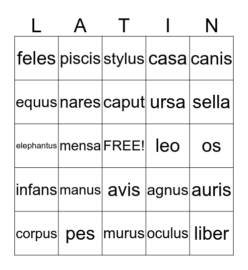 Latin Nouns Bingo Card