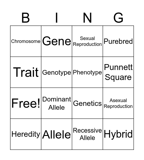 Genetics Vocabulary Bingo Card