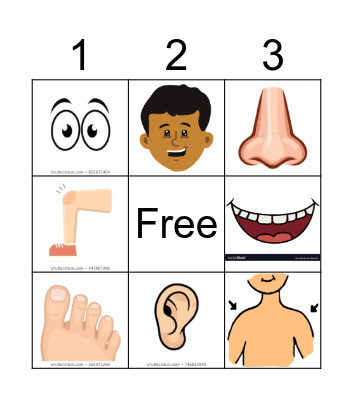 Human Body Bingo Card