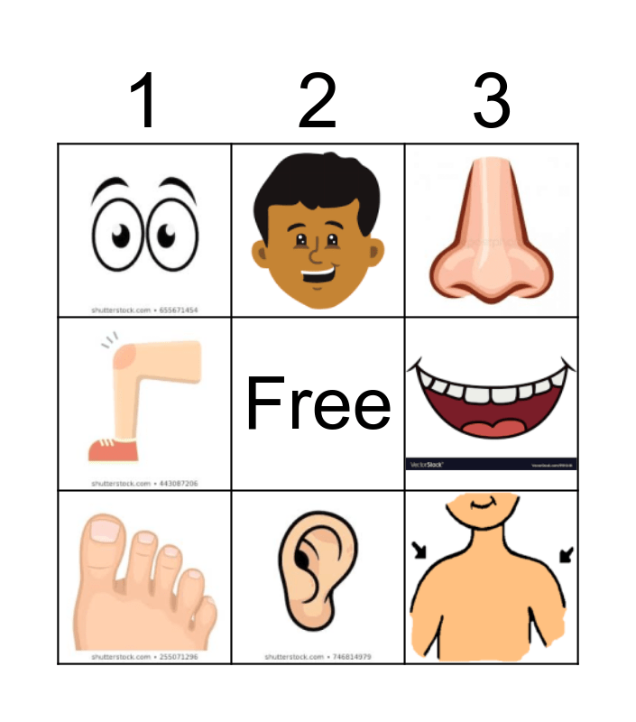 Human Body Bingo Card