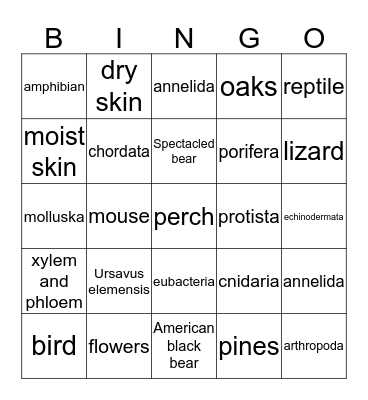 Cladogram Bingo Card