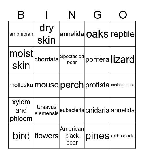 Cladogram Bingo Card