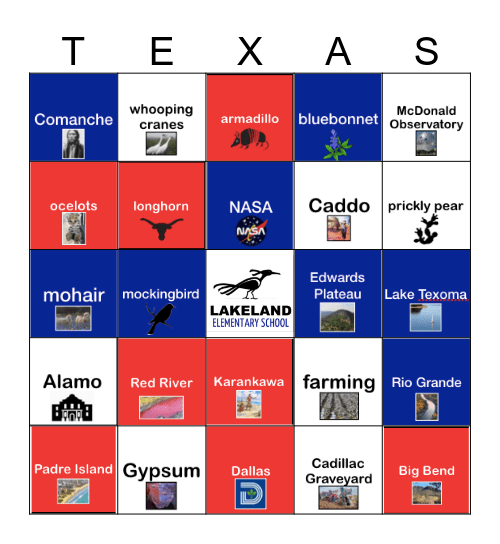 TEXAS BINGO Card