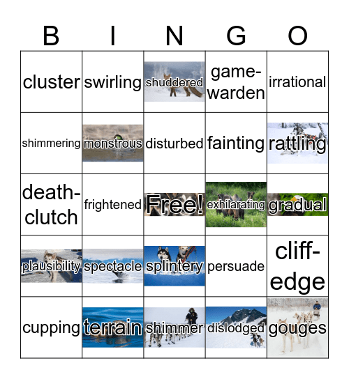 The Girl Who Loved Tom Gordon - Third Inning Bingo Card