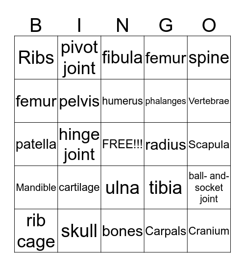 skeletal system bingo Card