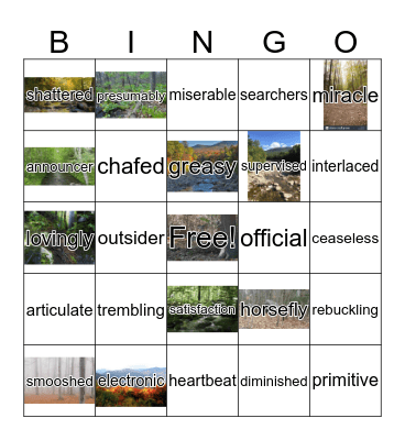 Girl Who Loved Tom Gordon - Top of the Fourth C Bingo Card
