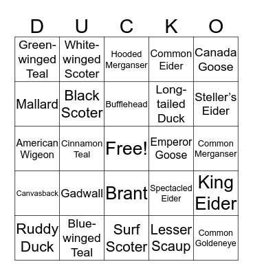 Ducko Bingo Card