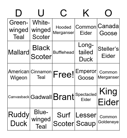 Ducko Bingo Card
