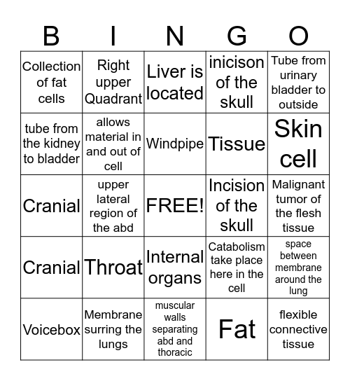 Body Structure Bingo Card