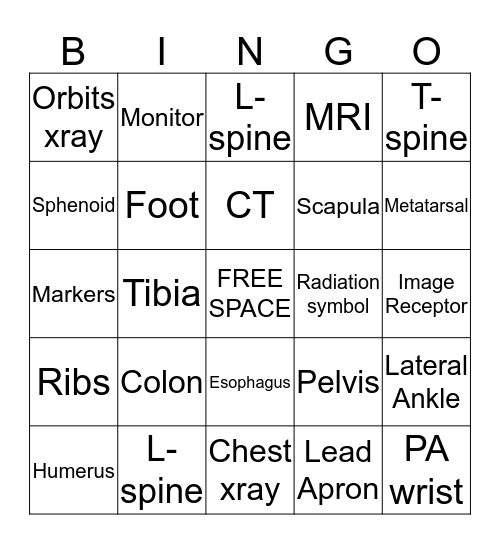 x-ray bingo! Bingo Card