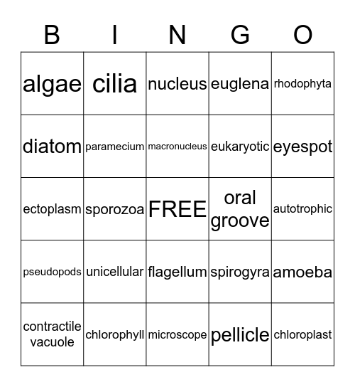 Protist Bingo Card