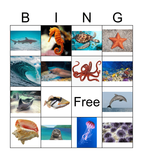 Hawaiian Sea Animal Bing Bingo Card