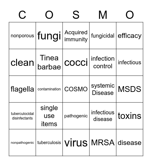 CH 5 Infection Control Bingo Card
