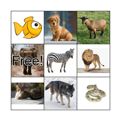 animals Bingo Card