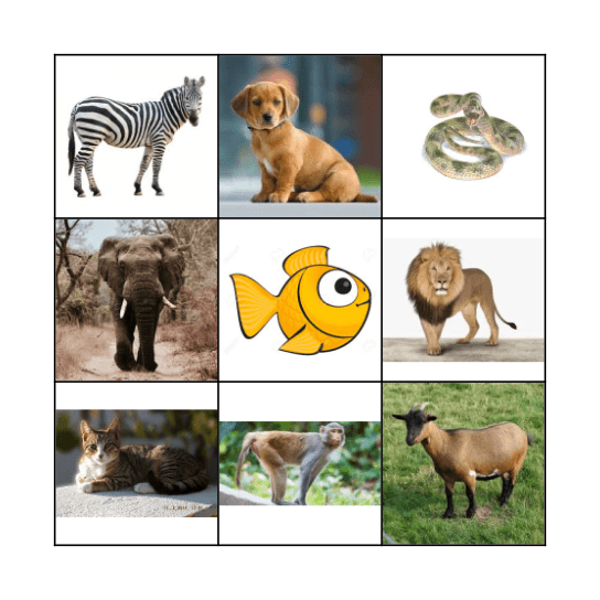 animals Bingo Card