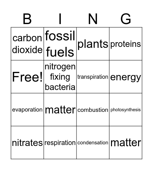 Cycles in Nature Bingo Card