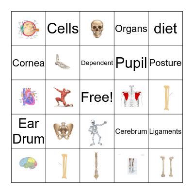 Fall Party Bingo Card