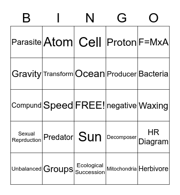 STAAR Vocabulary Bingo Card