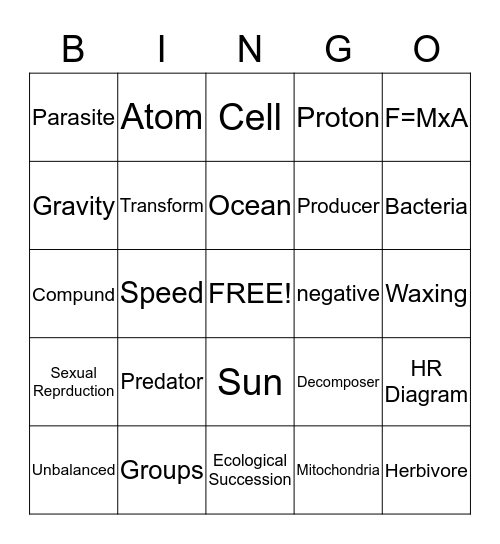 STAAR Vocabulary Bingo Card