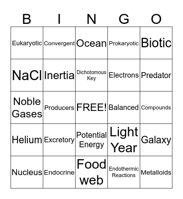 STAAR Vocabulary Bingo Card