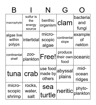 Ocean Environments Bingo Card