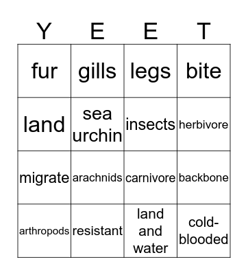 Animal Classification Test Review Bingo Card