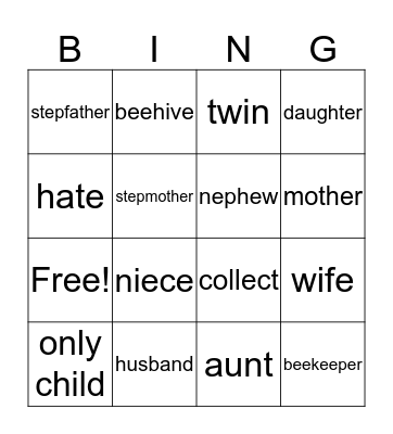 Family Bingo Card