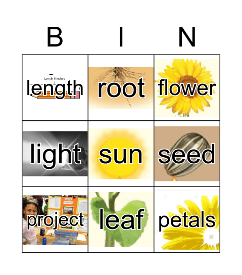 GR1 Unit2 Part2 Bingo Card