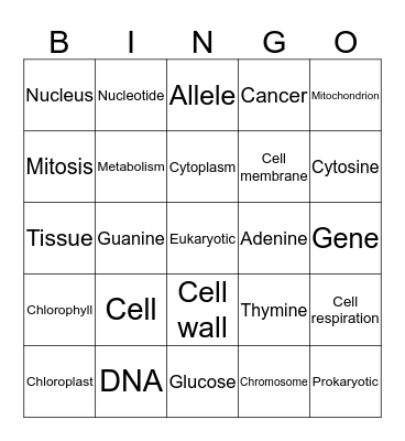 Genetics! Bingo Card