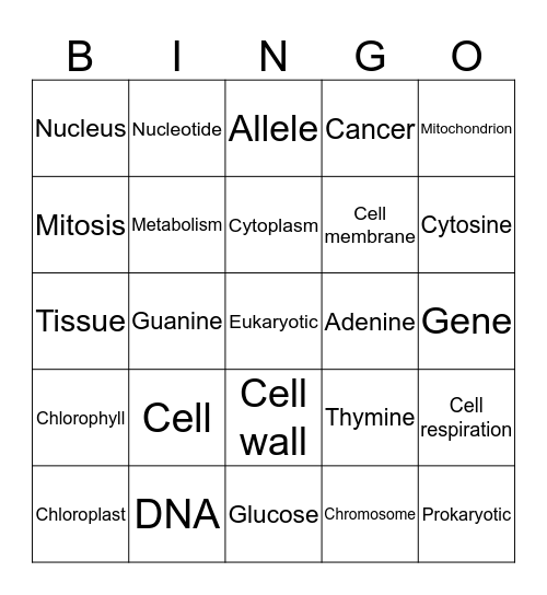 Genetics! Bingo Card