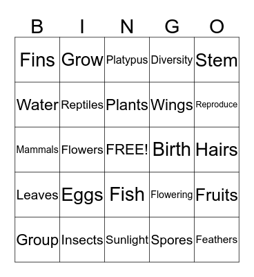 Plants and Animals Bingo Card