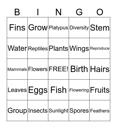 Plants and Animals Bingo Card