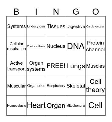 Cells/Human Body Bingo Card