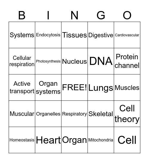 Cells/Human Body Bingo Card