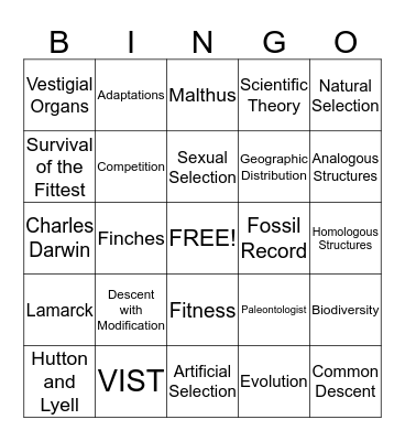 Evolution Bingo! Bingo Card