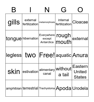 Amphibia  Bingo Card