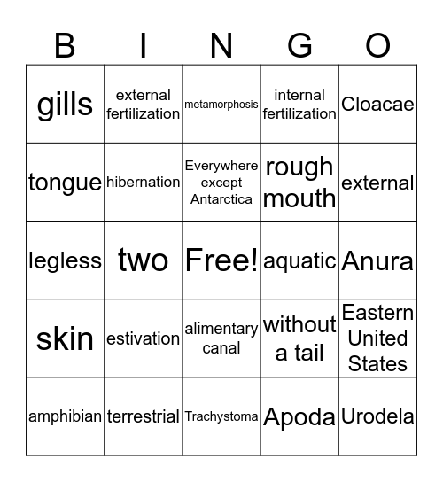 Amphibia  Bingo Card